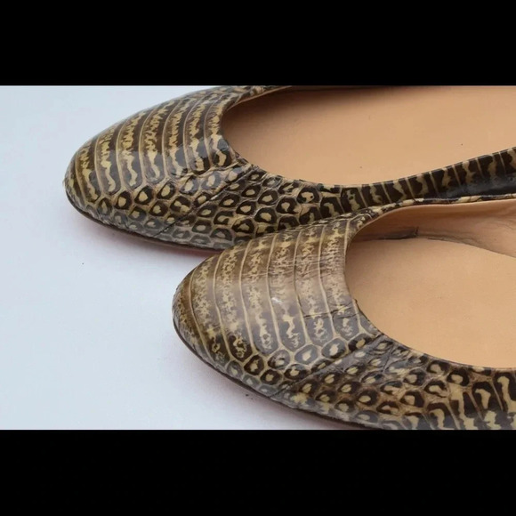 Daniblack flats - Picture 7 of 8